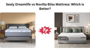 Read more about the article Sealy Dreamlife vs Novilla Bliss Mattress: Which is Better?