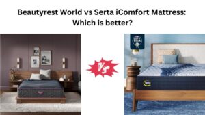 Read more about the article Beautyrest World vs Serta iComfort Mattress: Which is better?