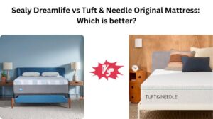 Read more about the article Sealy Dreamlife vs Tuft & Needle Original Mattress: Which is better?