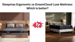 Read more about the article Sleepmax Ergonomic vs DreamCloud Luxe Mattress: Which is better?