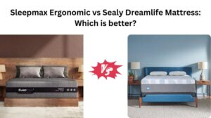 Read more about the article Sleepmax Ergonomic vs Sealy Dreamlife Mattress: Which is better?