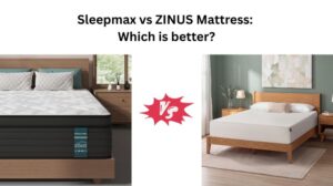 Read more about the article Sleepmax vs ZINUS Mattress: Which is better?